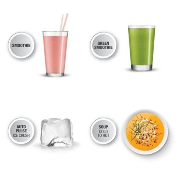 Sage SBL 820 SHY The Q Blender